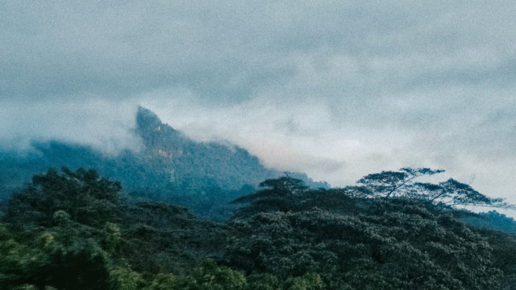 Cloud forest seen from a glamping site near Bogotá, in the Zipacón area, Colombia.